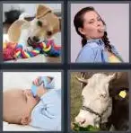 4 Pics 1 Word Level 3700 Answers