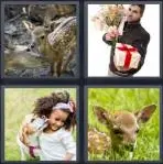 4 Pics 1 Word Level 3701 Answers