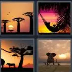 4 Pics 1 Word Level 3722 Answers