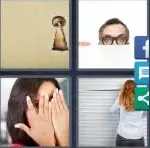 4 Pics 1 Word Level 3754 Answers