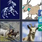 4 Pics 1 Word Level 3758 Answers