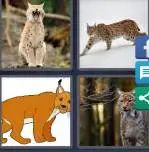 4 Pics 1 Word Level 3771 Answers
