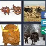 4 Pics 1 Word Level 3785 Answers