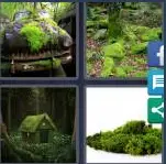4 Pics 1 Word Level 3793 Answers