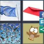4 Pics 1 Word Level 3807 Answers