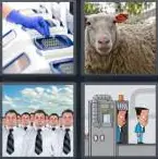 4 Pics 1 Word Level 3884 Answers