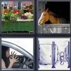 4 Pics 1 Word Level 3897 Answers