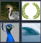 4 Pics 1 Word Level 3962 Answers