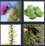 4 Pics 1 Word Level 3966 Answers