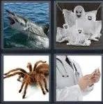 4 Pics 1 Word Level 3972 Answers