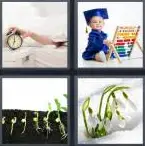 4 Pics 1 Word Level 4017 Answers