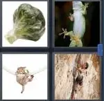 4 Pics 1 Word Level 4027 Answers