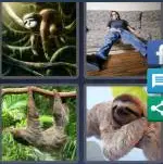 4 Pics 1 Word Level 4069 Answers