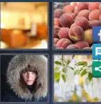 4 Pics 1 Word Level 4084 Answers
