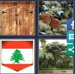4 Pics 1 Word Level 4092 Answers