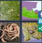4 Pics 1 Word Level 4093 Answers