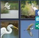 4 Pics 1 Word Level 4100 Answers