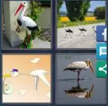 4 Pics 1 Word Level 4101 Answers