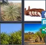 4 Pics 1 Word Level 4106 Answers