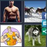 4 Pics 1 Word Level 4113 Answers