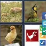 4 Pics 1 Word Level 4151 Answers