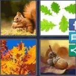 4 Pics 1 Word Level 4169 Answers