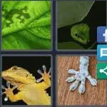 4 Pics 1 Word Level 4180 Answers