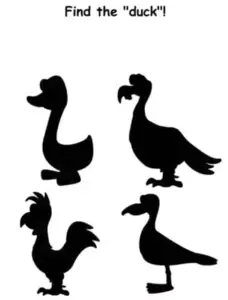 Brain Crack Find the duck Answers Puzzle