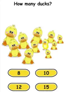Brain Crack How many Ducks Answers Puzzle