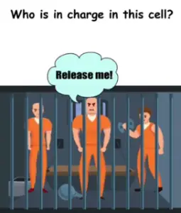 Brain Crack Who is in charge in this cell Answers Puzzle