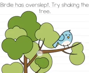 Brain Test Birdie has overslept Answers Puzzle
