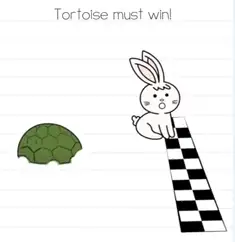 Brain Test Tortoise must win Answers Puzzle