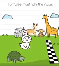 Brain Test Tortoise must win the race Answers Puzzle