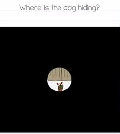 Brain Test Where is the dog hiding Answers Puzzle