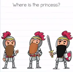 Brain Test Where is the princess Answers Puzzle