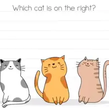 Brain Test Which cat is on the right Answers Puzzle