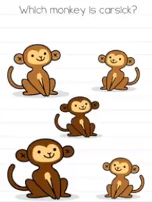 Brain Test Which monkey Answers Puzzle