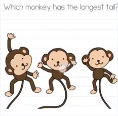 Brain Test Which monkey has the longest tail Answers Puzzle