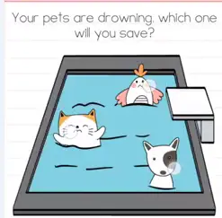 Brain Test Your pets are drowning Answers Puzzle