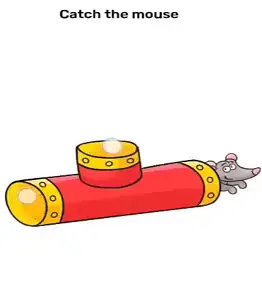 Brain Blow Catch the mouse Answers Puzzle