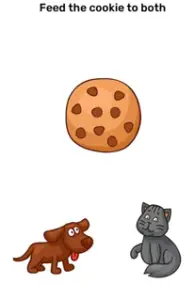 Brain Blow Feed the cookie to both Answers Puzzle