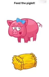 Brain Blow Feed the piglet Answers Puzzle