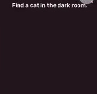 Brain Blow Find a cat in the dark room Answers Puzzle
