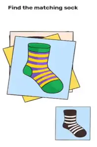 Brain Blow Find the matching sock Answers Puzzle