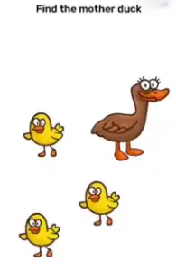 Brain Blow Find the mother duck Answers Puzzle