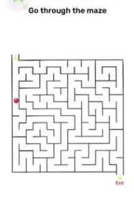 Brain Blow Go through the maze 2 Answers Puzzle