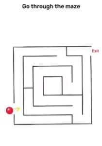 Brain Blow Go through the maze Answers Puzzle