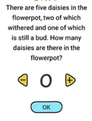 Brain Boom There are five daisies Answers Puzzle