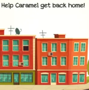 Braindom 2 Level 317 Help Caramel get back home Answers puzzle
