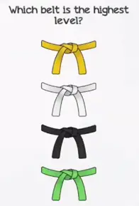 Braindom Level 1 Which belt is the highest level Answers Puzzle